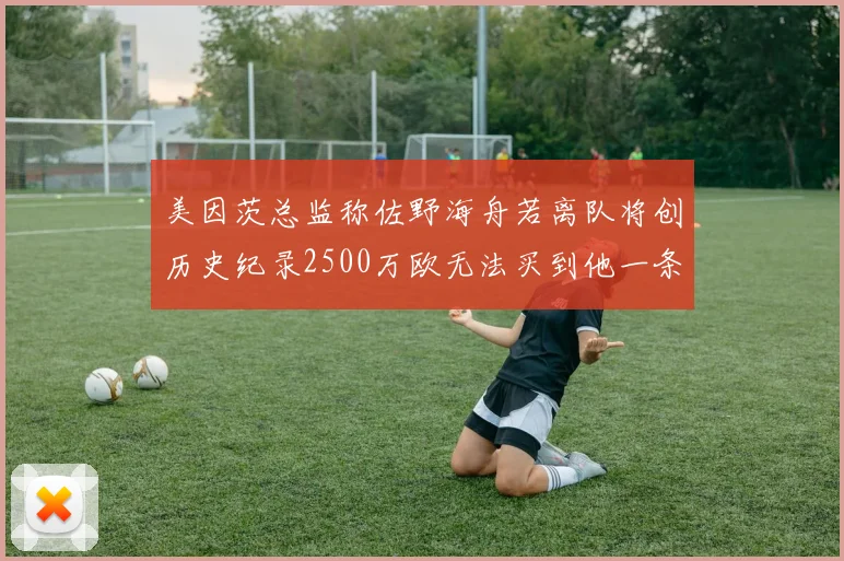 美因茨总监称佐野海舟若离队将创历史纪录2500万欧无法买到他一条腿