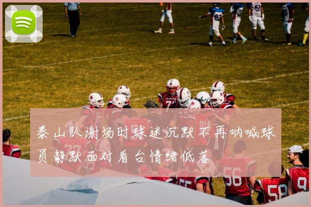 泰山队谢场时球迷沉默不再呐喊球员静默面对看台情绪低落